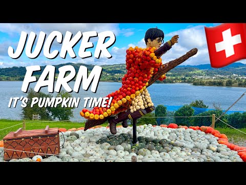 Jucker Farm: &quot;Juckerhof Seegräben Kürbisausstellung“ / Pumpkin patch: Know before you go [4k]